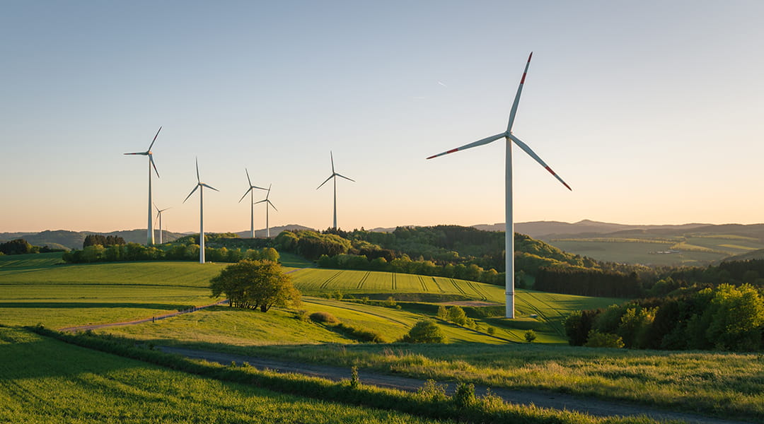 Seltene Erden Windkraft